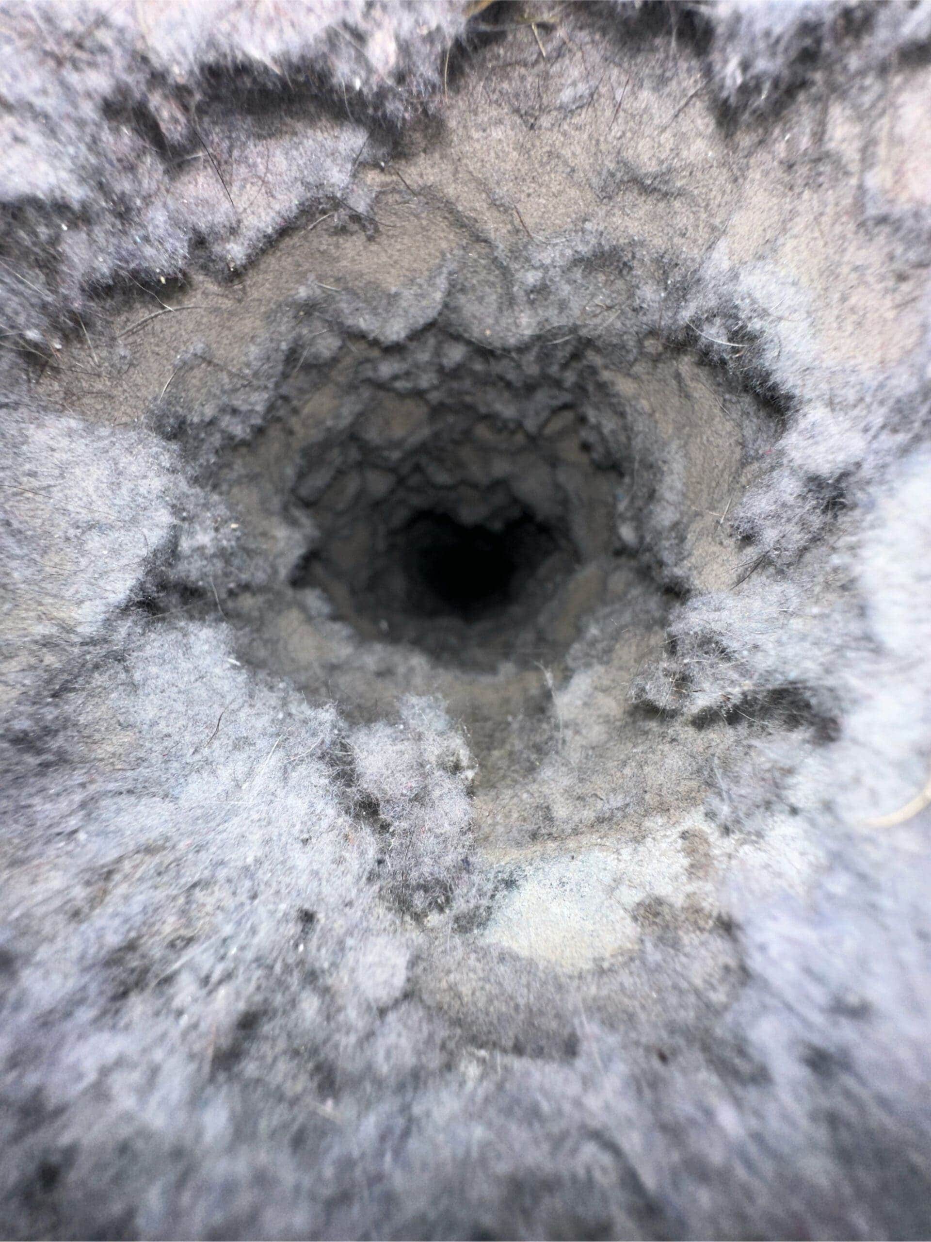Clogged Dryer Vent Before Cleaning